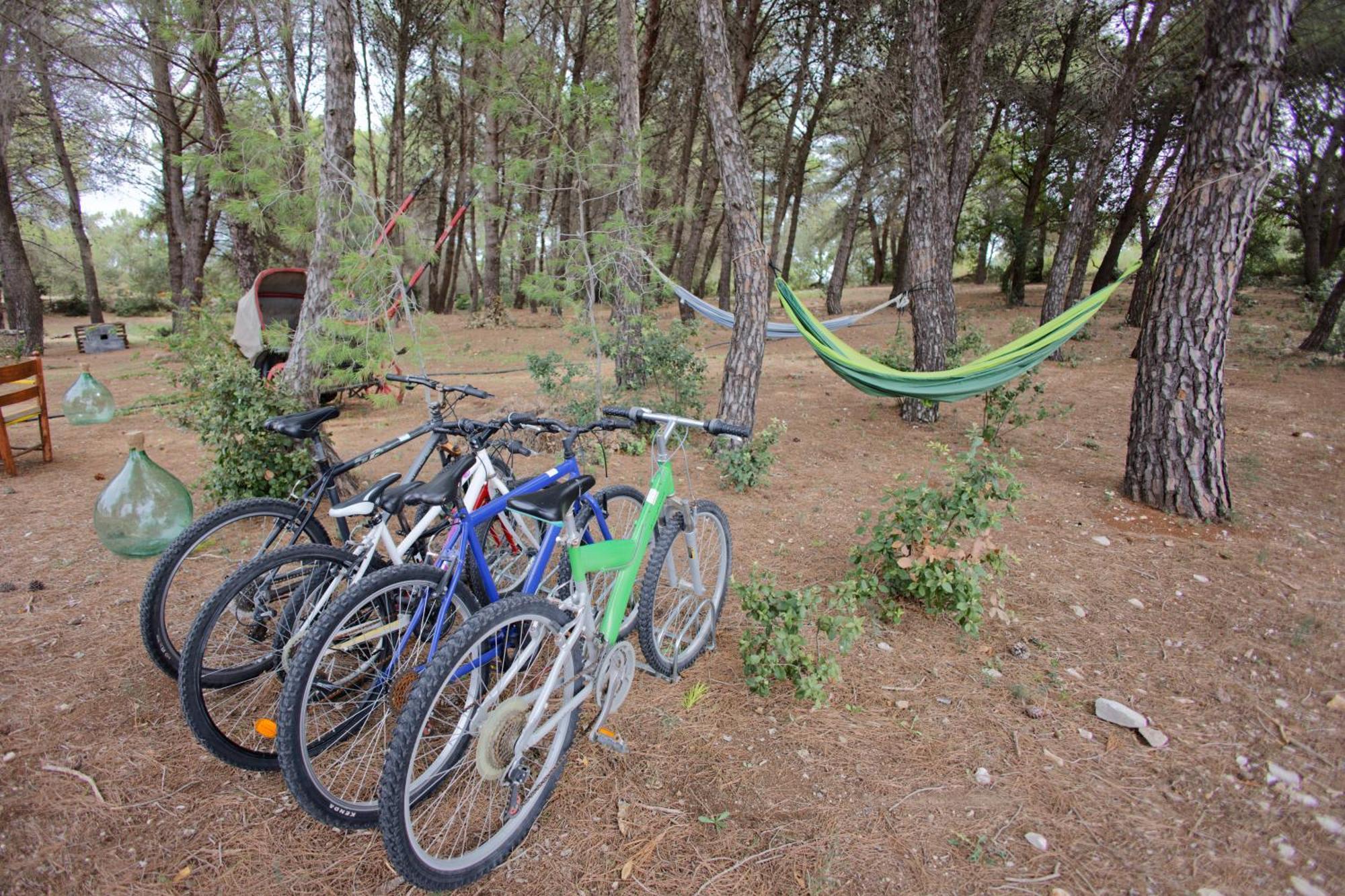 Ad Un Passo Da Cisternino - Trulli Con Foresta, Bici E Barbecue 치스테르니노 외부 사진